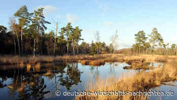 EU-Renaturierungsgesetz: „Auf totem Boden kann man nicht produzieren“