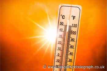 Europe heatwave: Red alerts issued for 16 Italian cities