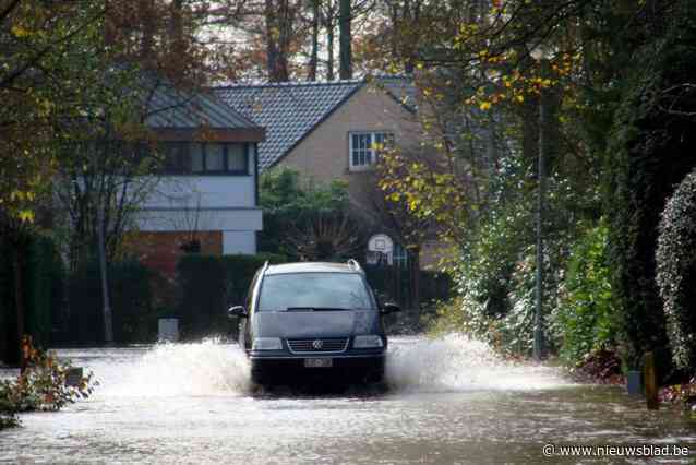 Minister Demir creëert extra openruimtegebieden in Putte, Heist en Puurs: “Om te vermijden dat mensen geconfronteerd worden met wateroverlast”