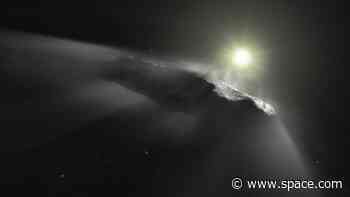 Where did the interstellar object 'Oumuamua come from? Its speed could tell us