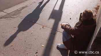 Brandon bylaw changes aimed at offences like loitering, panhanding could target homeless people, critics fear