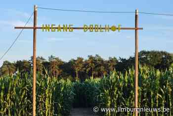 Peer: VAKANTIE IN Limburg: 3 ha doolhof en speelweide