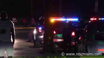 3-year-old drowns in canal in Goulds