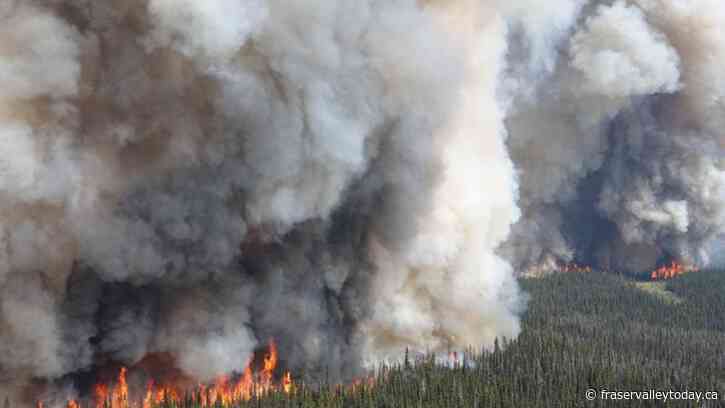 Wildfires continue to burn across B.C.