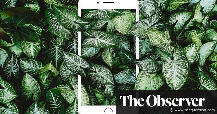 Sustainable smartphones calling? The eco-friendly new design rules to extend the life of your handset