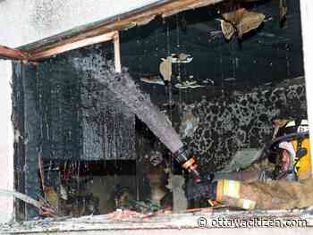 Firefighters rescue two cats from Carlington bungalow fire