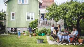 Spruce Up Your Backyard This Summer to Create the Ultimate Outdoor Oasis     - CNET