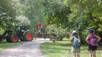 Sturmschäden: „Lebensgefahr“ an Herrschinger Ammersee-Promenade