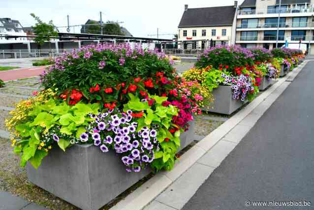 Bloemenpracht op stationsplein oogst bijval: “Toegangspoort tot gemeente opfleuren”