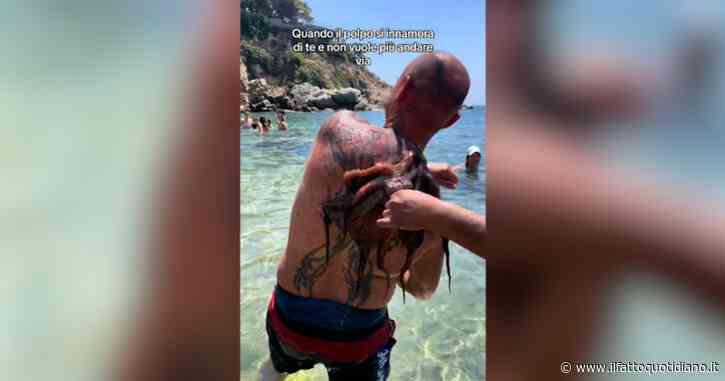 Il polpo si attacca alla schiena del bagnante in spiaggia: il video su Tik Tok diventa virale