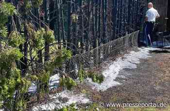 FW-M: Heckenbrand im Garten (Obermenzing)