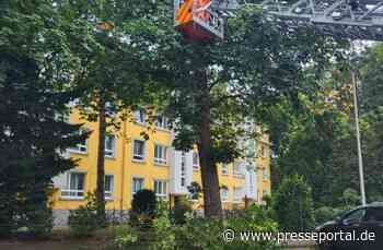 FW Hannover: Ast beschädigt parkende PKW