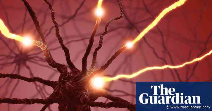 Has a 25-year-old bet taken us a step closer to understanding consciousness? – podcast