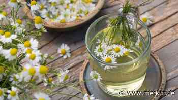 Verstopfung entgegenwirken: Fünf natürliche Mittel, die schnell helfen