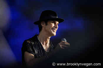 Porno for Pyros tour dates: tickets on sale