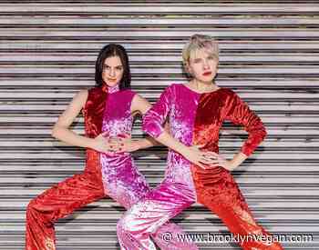 Decisive Pink (Deradoorian & Kate NV) announce fall tour