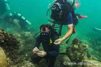 Florida's Rising Water Temperatures Raise Concerns for Health of Coral Reefs -Scientists