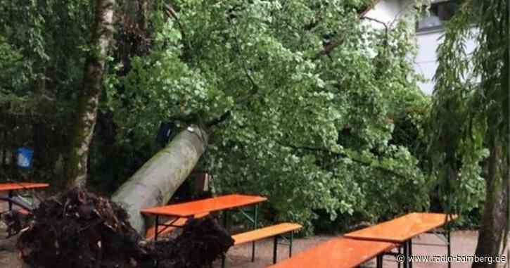 Unwetter über Bamberg fällt Baum auf Keller und Kerwa