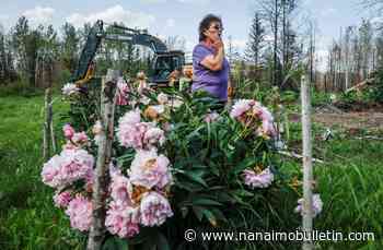 ‘It’s home’: Alberta’s Métis community rebuilds settlement after wildfire