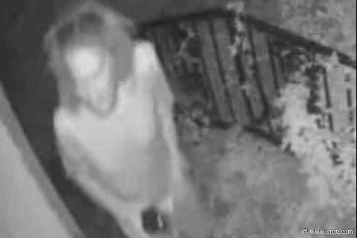 Burglar lies in bed, leaves trail of blood in Memphis