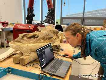 Northern Alberta paleontologists add 3D scanner to their toolbox