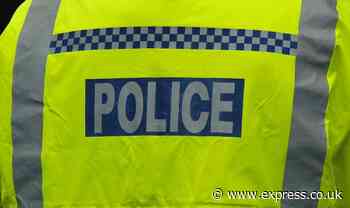 Crimes not solved amid influx of rookie officers as police warned to go' back to basics'