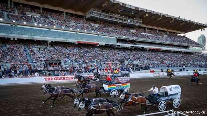 Calgary Stampede says chuckwagon horse euthanized after suffering injury