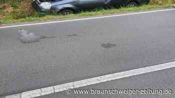 Bei einem Unfall bei Velpke landete ein Auto im Straßengraben