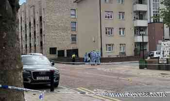 Teenager arrested on suspicion of murdering boy, 17, in street fight after birthday party