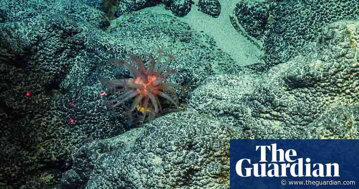 Deep-sea mining causes huge decreases in sealife across wide region, says study