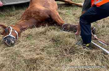FW-EN: Feuerwehr Hattingen unterstützt bei Tierrettung