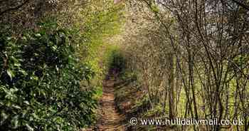 I went through a Narnia-like tunnel and found a 'tropical' lake that transported me to the Caribbean