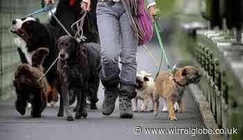 Fewer dog bite wounds treated in Wirral, figures show