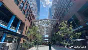 Toronto's newest development The Well a pedestrian oasis but misses mark on affordability, some say