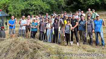 Aktion in Nagold: Naturschützer trotzen der großen Hitze