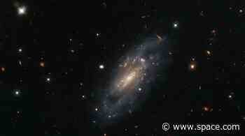 Hubble telescope captures stunning shot of spiral galaxy (photo)