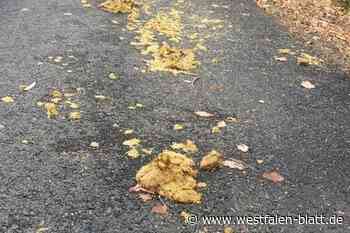 Steinhagen verzeichnet immer mehr Beschwerden über Pferdeäpfel und Wildwuchs