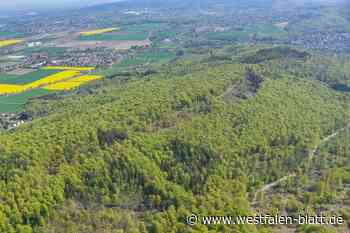ICE-Trasse: Reichlich Kohle für Kohle