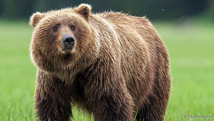 How to Batch Process Noise Reduction in Lightroom