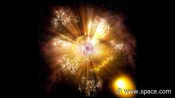 Super-close supernova captivates record number of citizen scientists