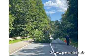 POL-HRO: Umgekippter Baum auf Fahrbahn