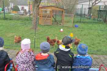 Natzungen: Kindergarten schafft sich Miethühner an