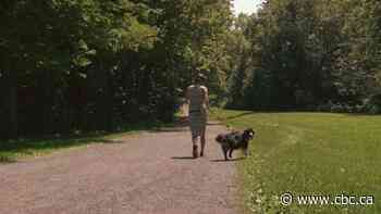 The misconception that may explain why some dog owners discard poop bags on nature trails