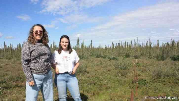 N.W.T. researchers studying permafrost, ‘the foundation on which everything is built’