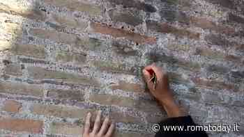 Chi vandalizza il Colosseo rischia grosso. Ma da anni sfregi e furti si moltiplicano