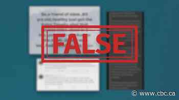 Foreign interference means Canada should get serious on media literacy, advocate says