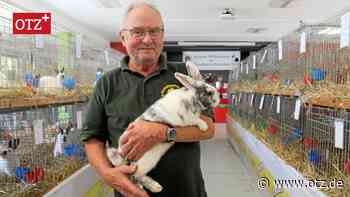 Einige Kaninchenzuchtvereine rund um Jena geben auf