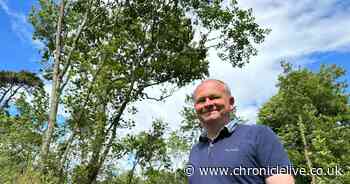Northumberland community attempting to buy and preserve ancient woodland
