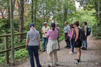 Schöne Geschichten von schönen Pflanzen