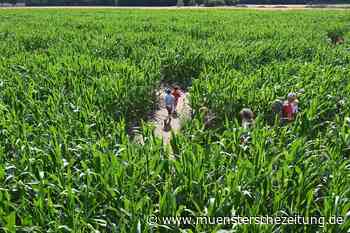 „Am Ende schafft es jeder wieder heraus“
